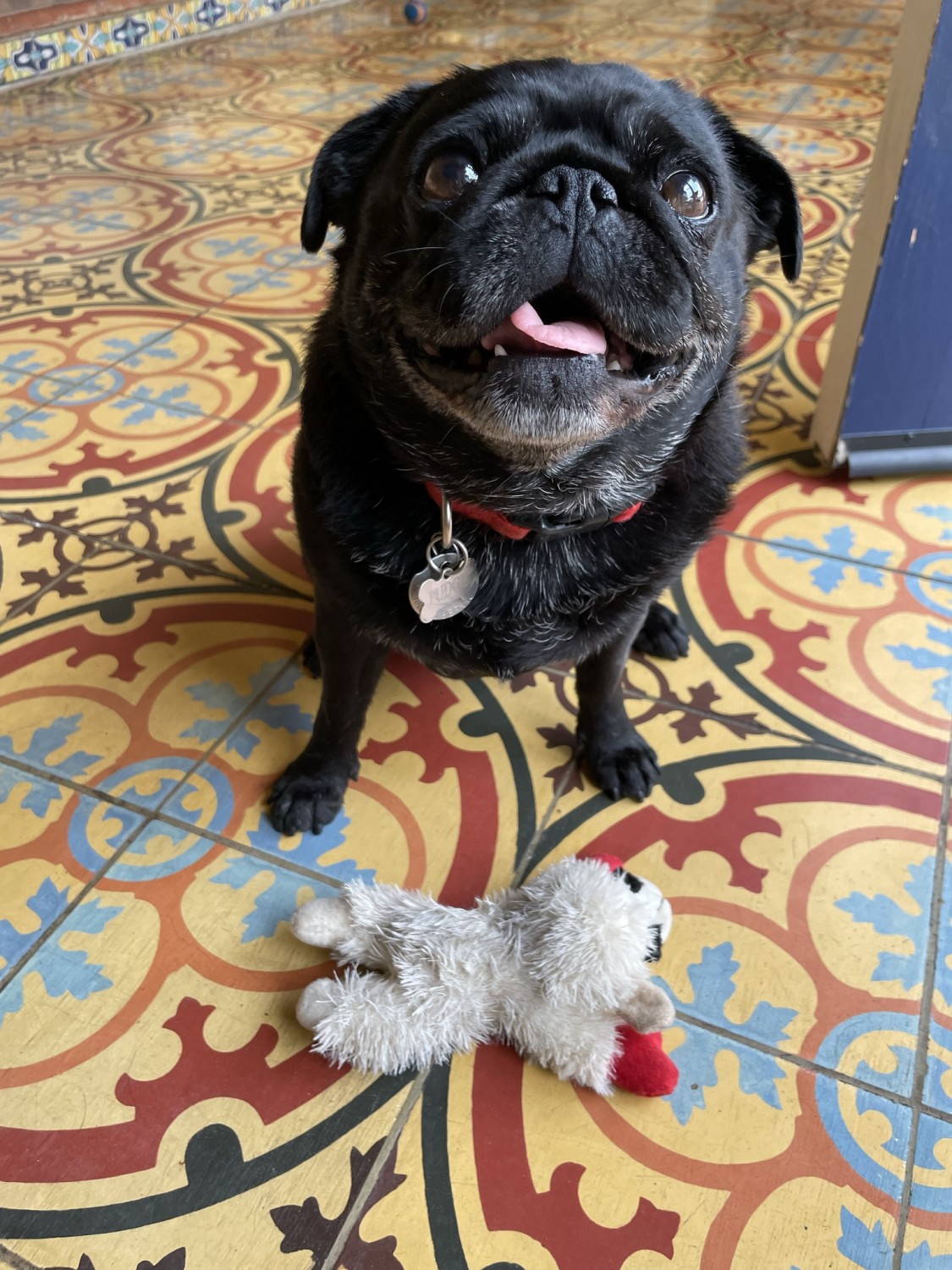 Black Pug With Sheep Toy Black Pug With Sheep Toy
