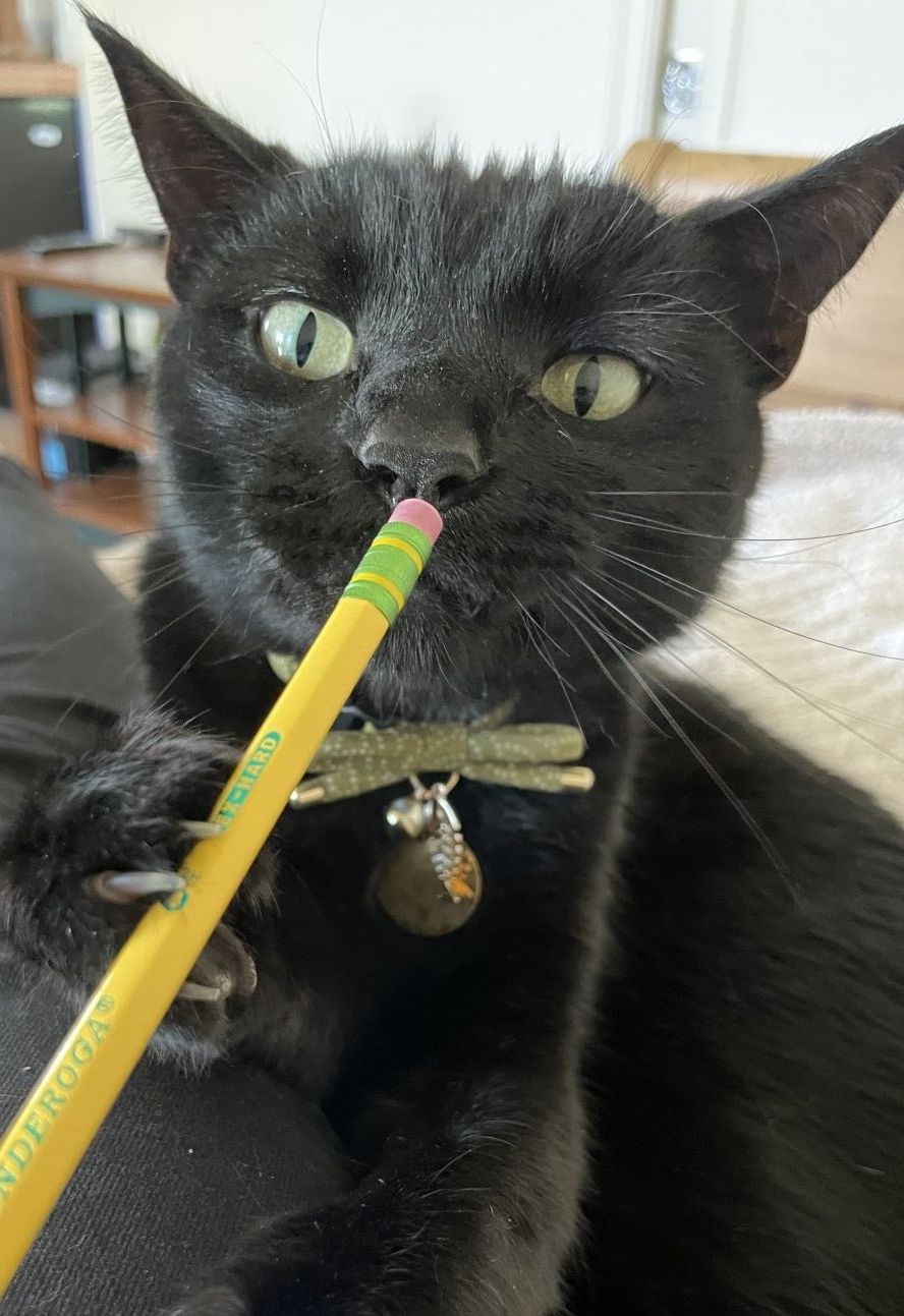 Black Cat with Pencil