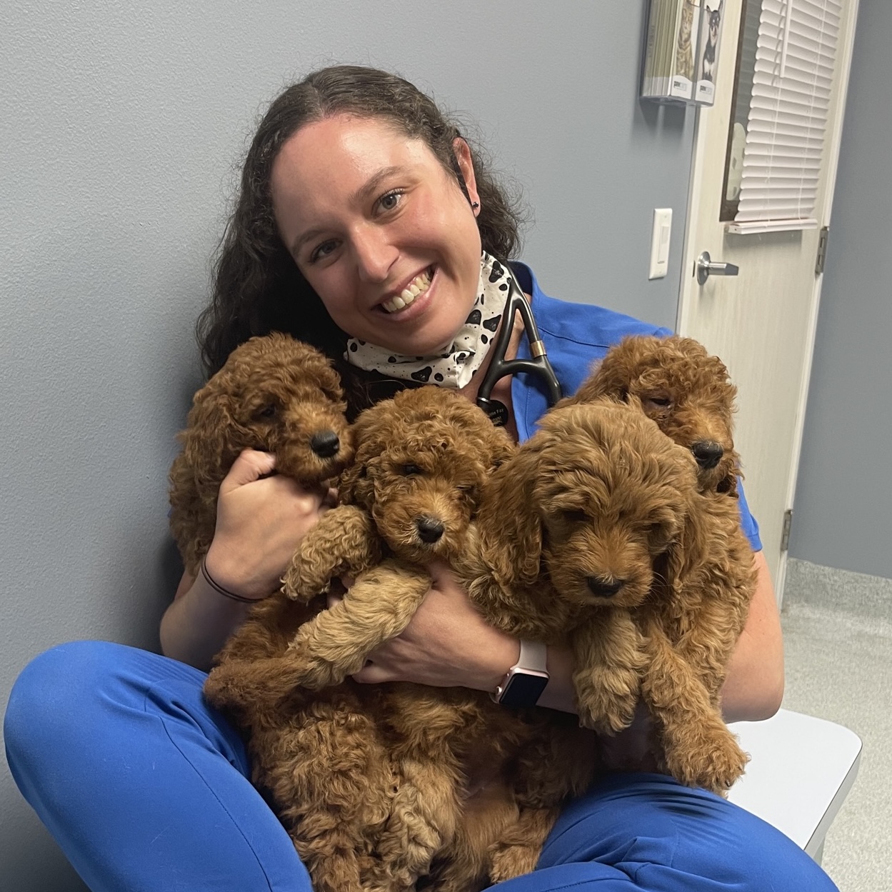 Dr. Fay Holding a Litter of Puppies
